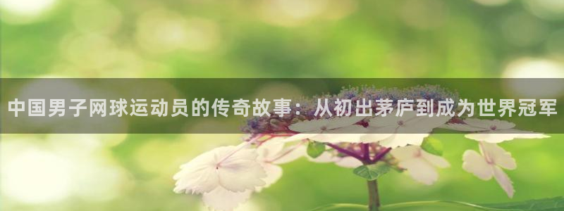 中国男子网球运动员的传奇故事：从初出茅庐到成为世界冠军