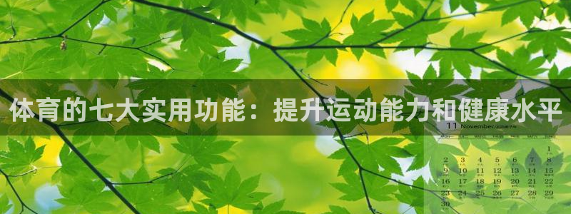 体育的七大实用功能：提升运动能力和健康水平