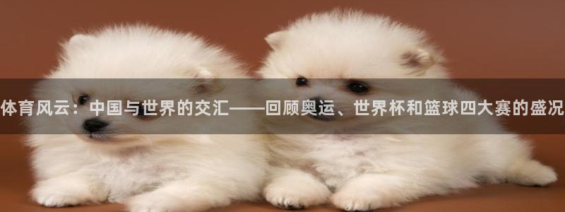 体育风云：中国与世界的交汇——回顾奥运、世界杯和篮球四大赛的盛况