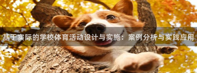 基于实际的学校体育活动设计与实施：案例分析与实践应用