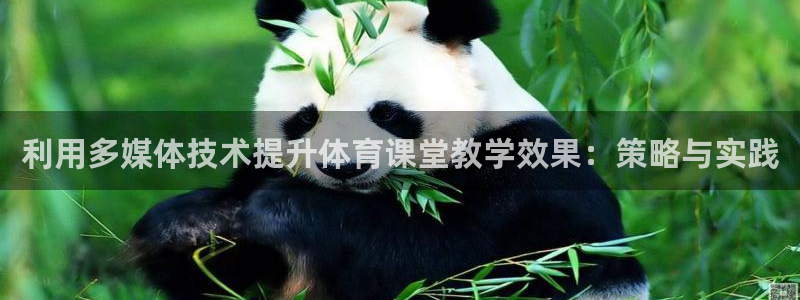 利用多媒体技术提升体育课堂教学效果：策略与实践