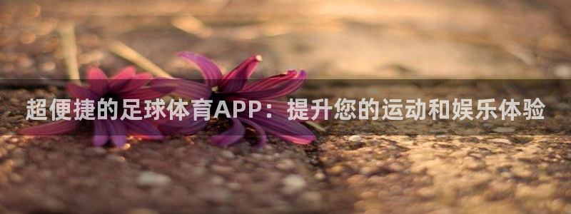 超便捷的足球体育APP：提升您的运动和娱乐体验