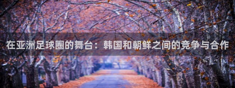 在亚洲足球圈的舞台：韩国和朝鲜之间的竞争与合作
