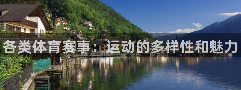 各类体育赛事：运动的多样性和魅力